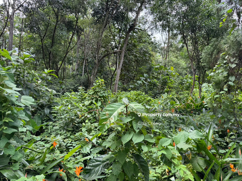 Banglo Tanah untuk Dijual di Taman Tunku, Bukit Tunku (Kenny Hills) oleh Citta Cheng - iProperty.com.my