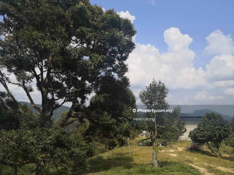 Agricultural Land for Sale in Karak, Pahang by Irene Leong - iProperty.com.my