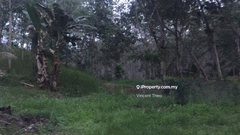 Agricultural Land for Sale in Kampung Tempoyang, Kuala Lipis by Vincent Theo - iProperty.com.my