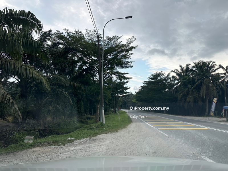 Residential Land for Sale in Pekan Nenas, Johor by Sally Yeok - iProperty.com.my