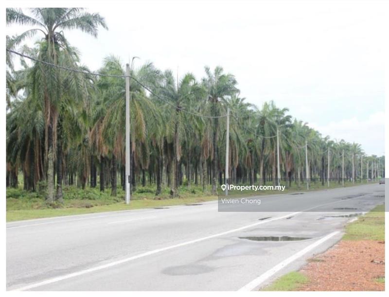 Agricultural Land for Sale in Sepang, Selangor by Vivien Chong - iProperty.com.my