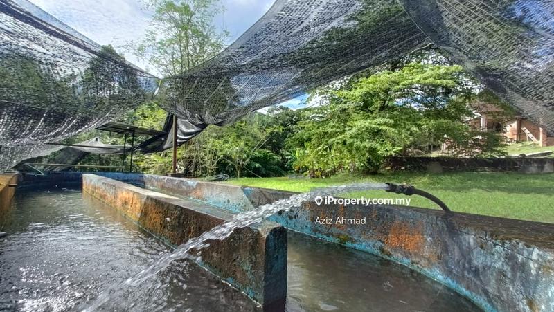 Agricultural Land for Sale in Kuala Pangsoon, Hulu Langat by Aziz Ahmad - iProperty.com.my
