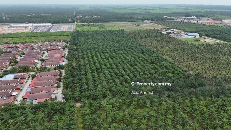 Agricultural Land for Sale in 3ayxd, Sabak Bernam by Aziz Ahmad - iProperty.com.my
