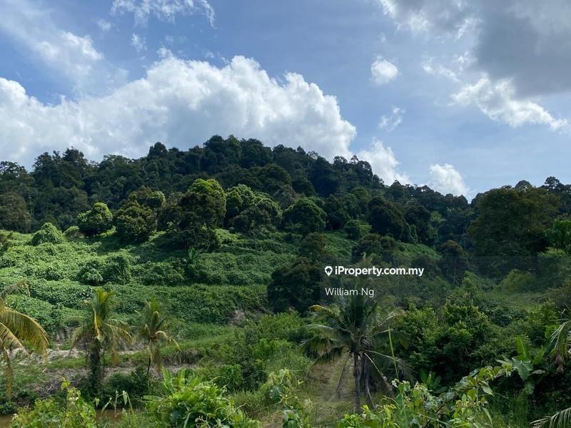 Agricultural Land for Sale in Kuala Klawang, Kuala Klawang by William Ng - iProperty.com.my