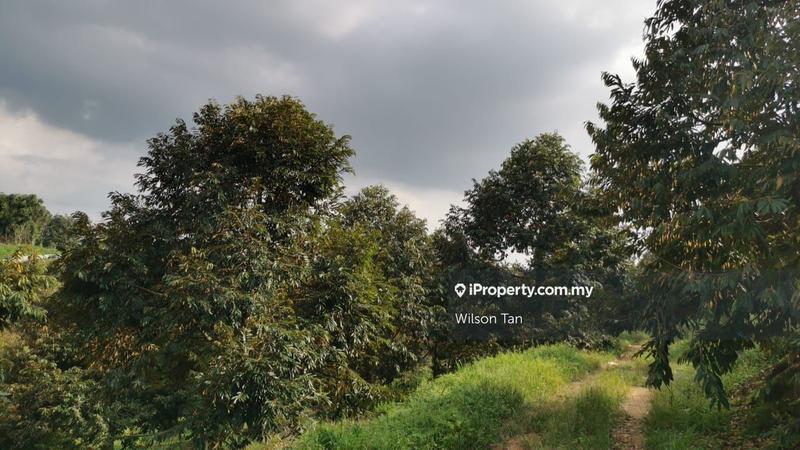 Agricultural Land for Sale in Beranang, Ulu Langat by Wilson Tan - iProperty.com.my