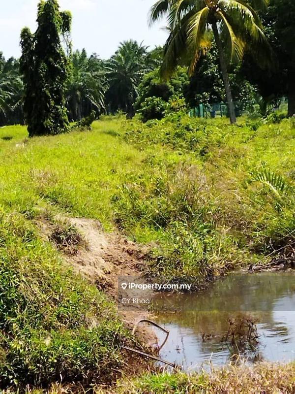 Agricultural Land for Sale in Selangor Kuala Langat Morib Banting 42700, Banting by CY Khoo - iProperty.com.my