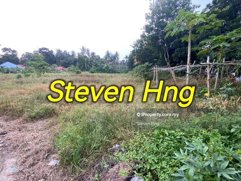 For Rent - Agriculture flat land 37000sf in Balik Pulau near Orchadia
