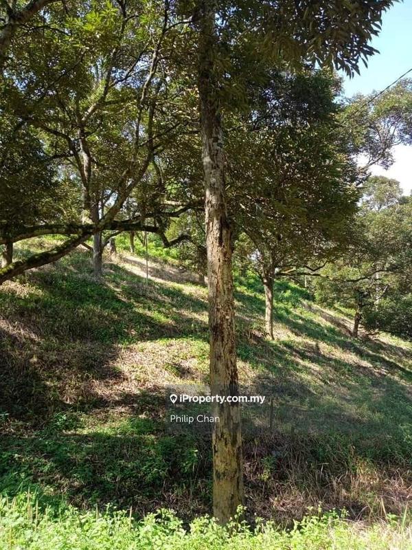 Agricultural Land for Sale in Kampung Perting, Bentong by Philip Chan - iProperty.com.my