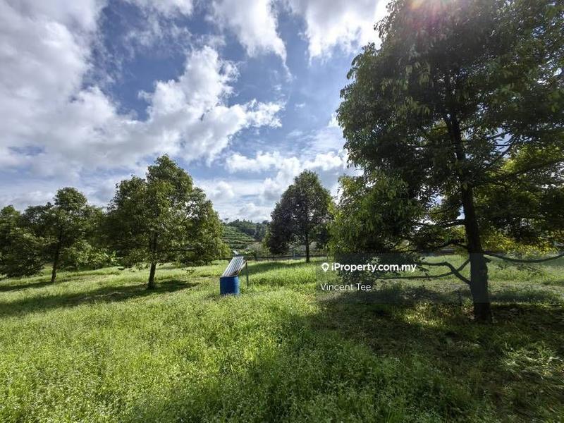 Agricultural Land for Sale in Bandar Lipis, Kuala Lipis by Vincent Tee - iProperty.com.my