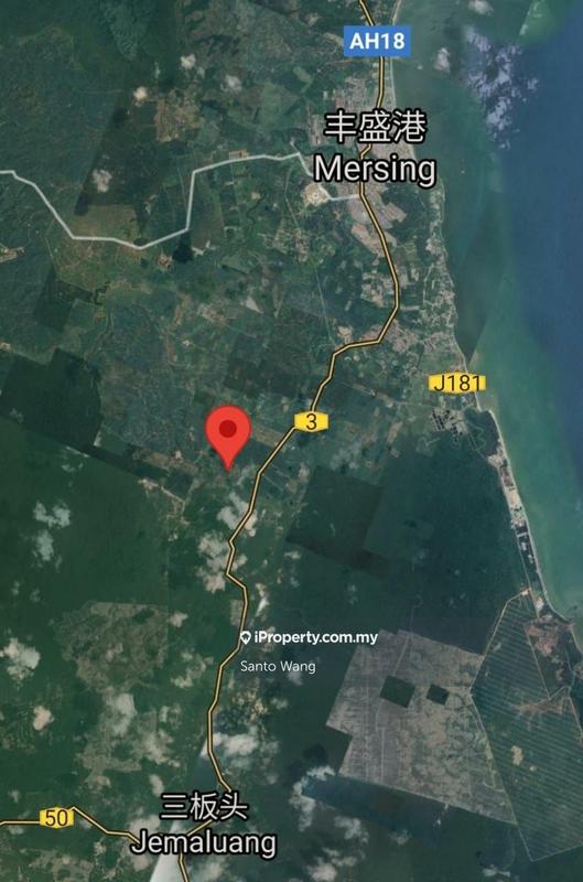 For Sale - Oil palm 4-8 years,Jemeluang