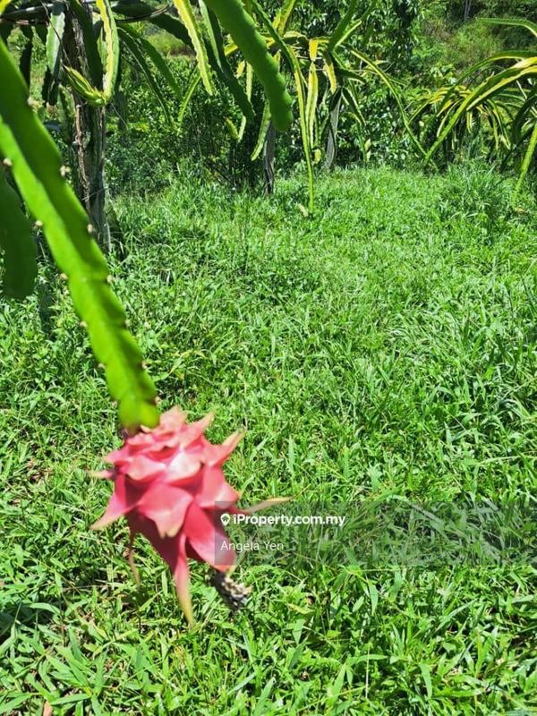 Agricultural Land for Sale in Papar, Sabah by Angela Yen - iProperty.com.my