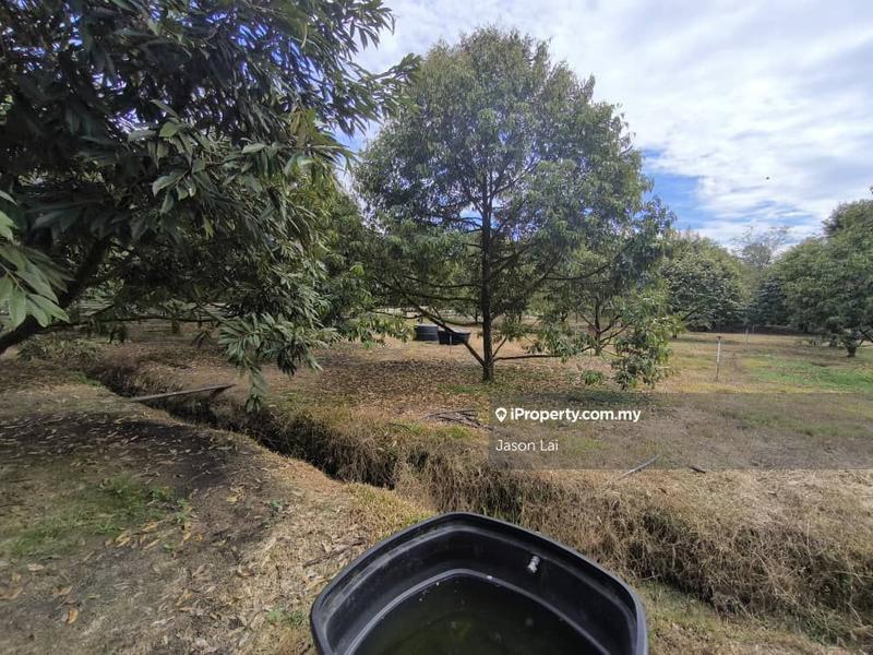 For Sale - Hulu Yam Bharu Batang Kali 2acres Agricultural Land