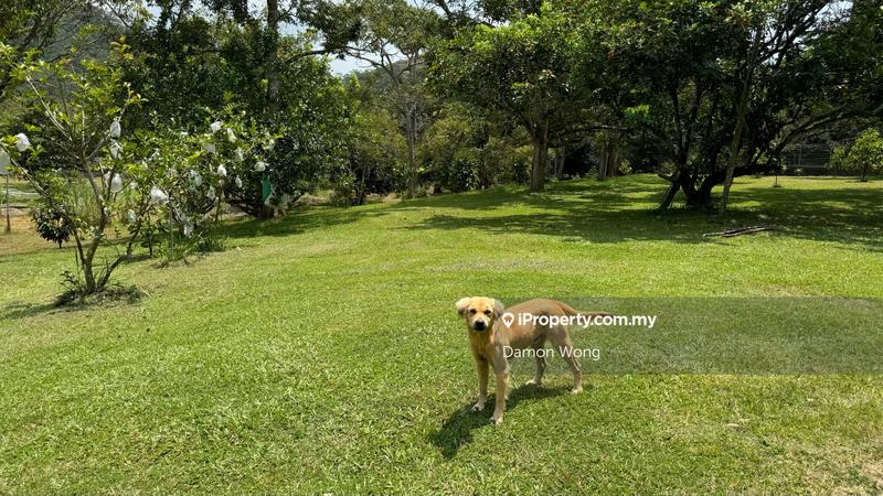 Agricultural Land for Sale in Bukit Tinggi, Bentong by Damon Wong - iProperty.com.my