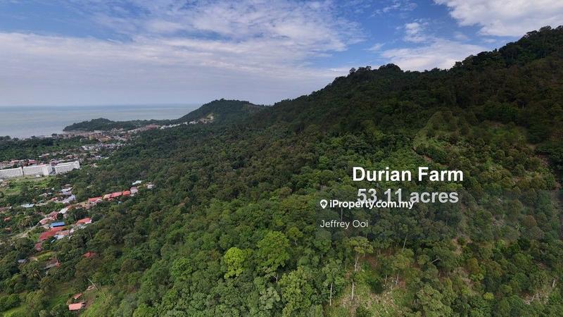 Tanah Pertanian untuk Dijual di Teluk Kumbar, Teluk Kumbar oleh Jeffrey Ooi - iProperty.com.my