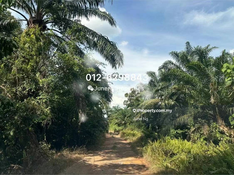 Agricultural Land for Sale in Rancangan Revolusi Hijau, Dengkil, Dengkil by June Ng - iProperty.com.my
