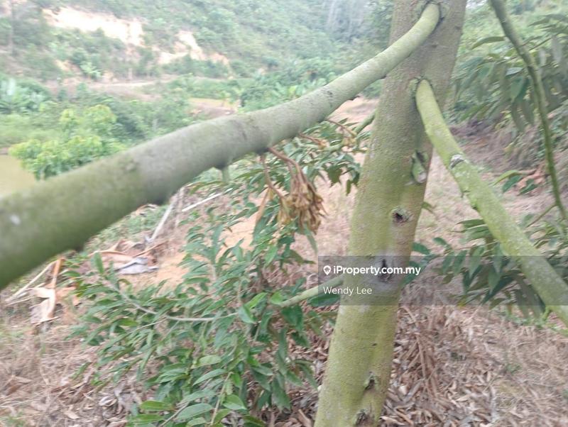 Agricultural Land for Sale in Taman Jelebu, Kuala Klawang by Wendy Lee - iProperty.com.my