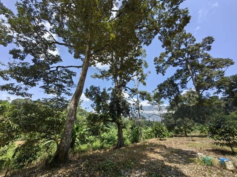 Agricultural Land for Sale in Bandar Baru Kuala Lipis, Kuala Lipis by Vincent Tee - iProperty.com.my