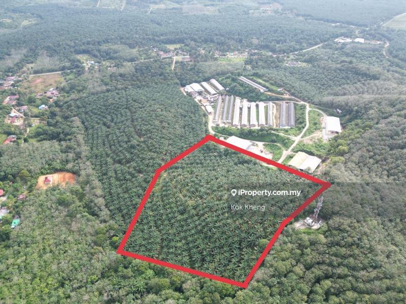 For Sale - Lendu, Alor Gajah 10acres Freehold Palm Oil Agriculture Land For Sale