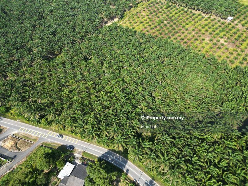Agricultural Land for Sale in Kota Tinggi, Kota Tinggi by Max Loh - iProperty.com.my