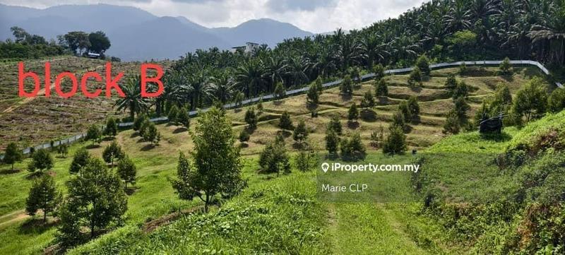 Tanah Pertanian untuk Dijual di Cameron Highlands, Pahang oleh Marie CLP - iProperty.com.my