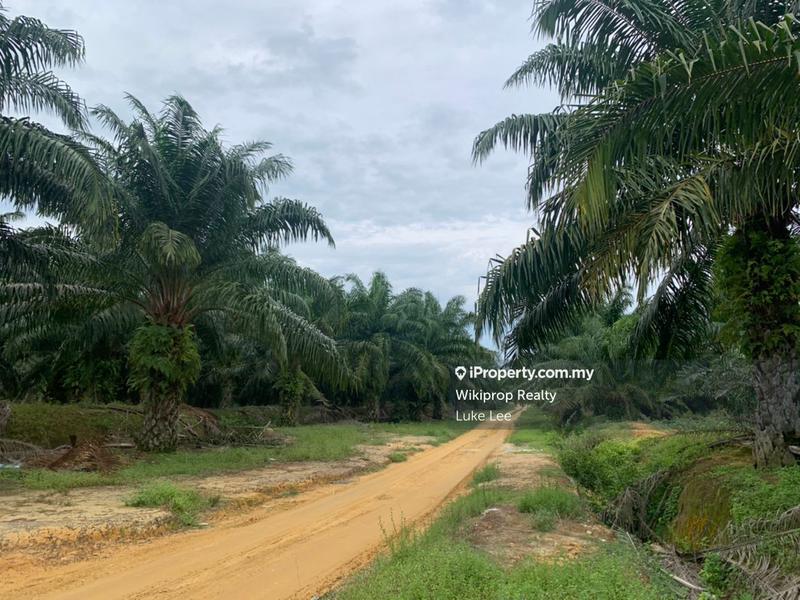 Agricultural Land for Sale in Lukut, Portdickson, Negeri Sembilan, Lukut by Luke Lee - iProperty.com.my