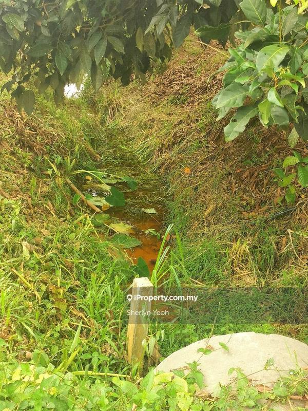 Agricultural Land for Sale in Slim River, Perak by Sherlyn Yeoh - iProperty.com.my