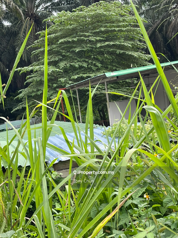 Tanah Perindustrian untuk Dijual di Broga , Semenyih, Semenyih oleh Tony Chun - iProperty.com.my