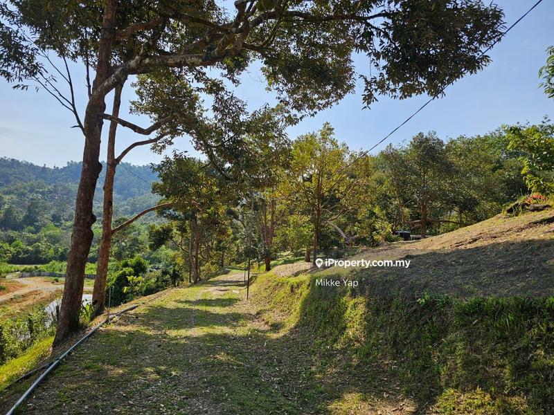 Agricultural Land for Sale in Bentong, Pahang by Mikke Yap - iProperty.com.my