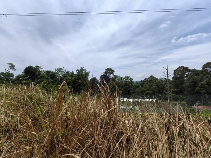 Agricultural Land for Sale in Bandar Lipis, Kuala Lipis by Vincent Tee - iProperty.com.my