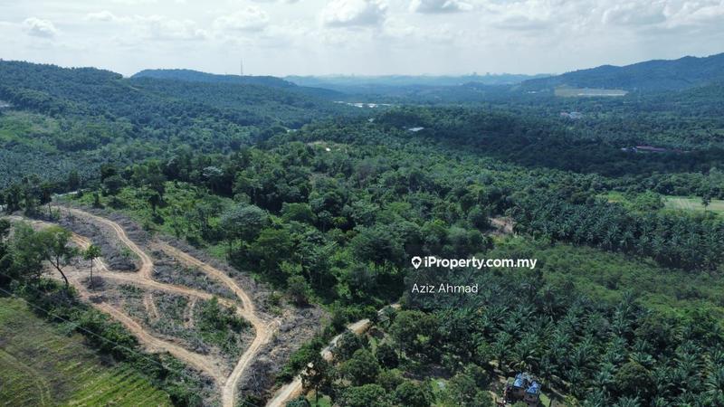 Tanah Pertanian untuk Dijual di Kampung Salak Tinggi, Sepang oleh Aziz Ahmad - iProperty.com.my