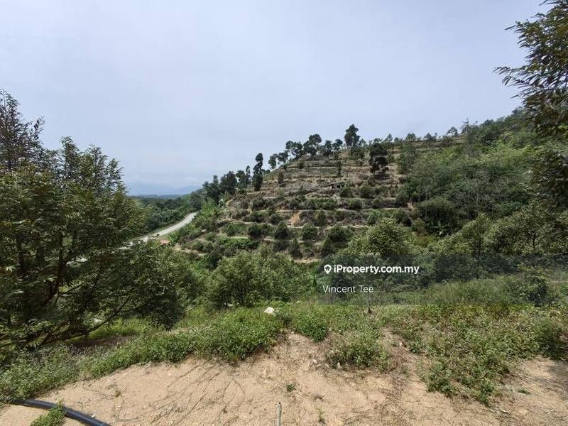 Agricultural Land for Sale in Taman Titi, Titi by Vincent Tee - iProperty.com.my