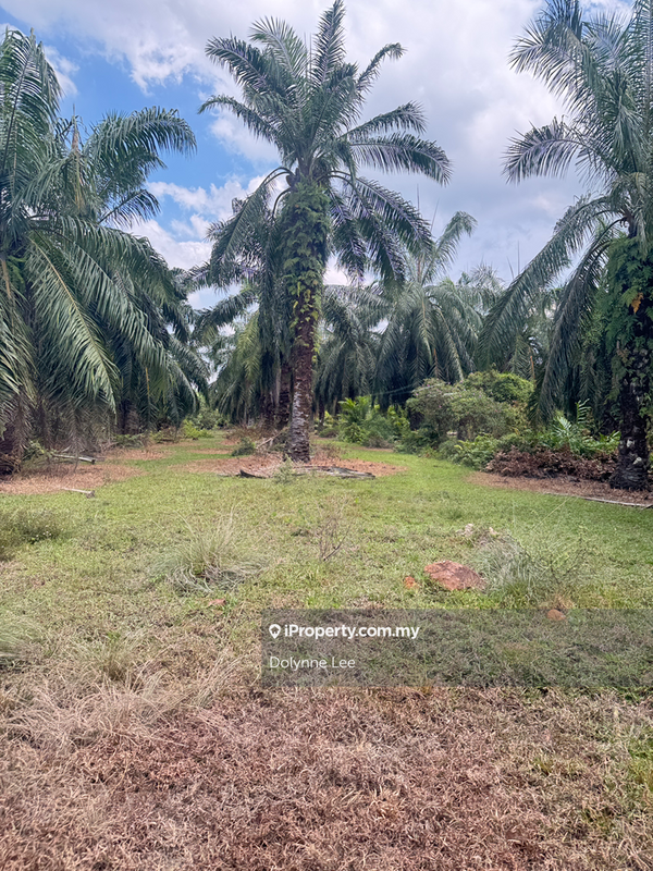 Tanah Pertanian untuk Dijual di UPS Industrial Park, Pulau Carey (Carey Island) oleh Dolynne Lee - iProperty.com.my