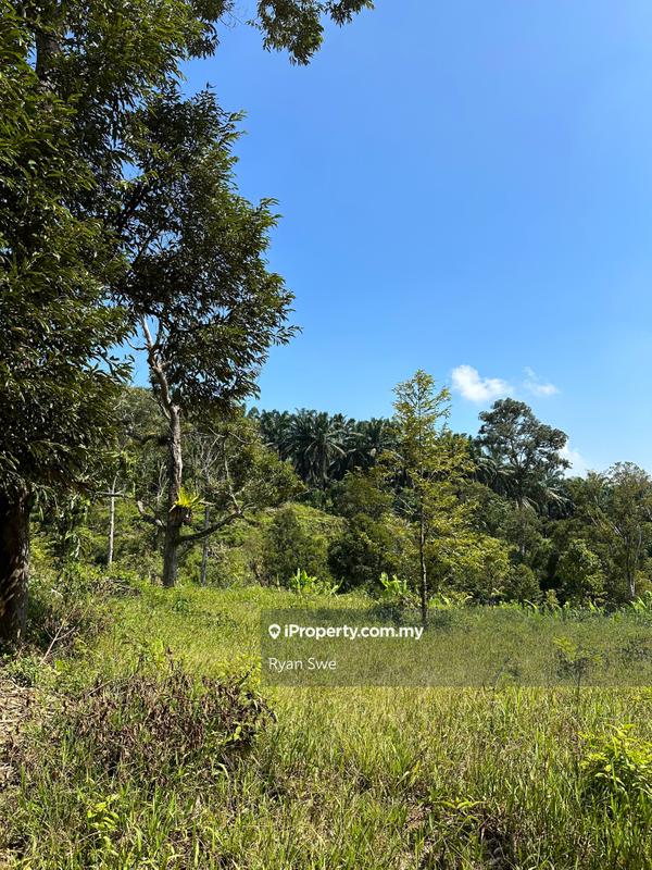 Agricultural Land for Sale in Karak, Pahang by Ryan Swe - iProperty.com.my