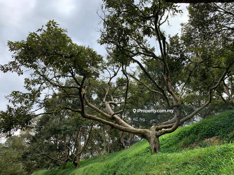 Agricultural Land for Sale in Raub, Raub by KC Ng - iProperty.com.my