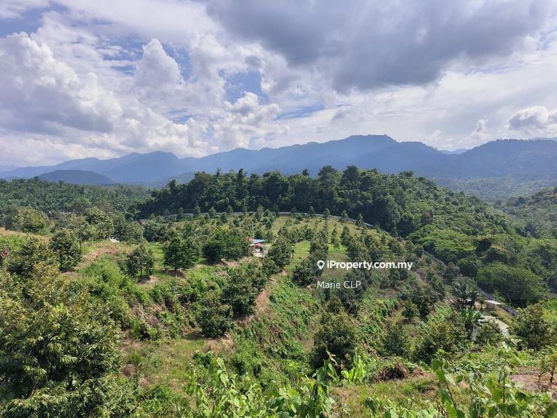 Agricultural Land for Sale in Kampung Sumpitan, Lenggong by Marie CLP - iProperty.com.my