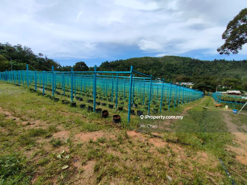 Tanah Pertanian untuk Dijual di Hulu Semenyih, Semenyih oleh Mr Chan - iProperty.com.my