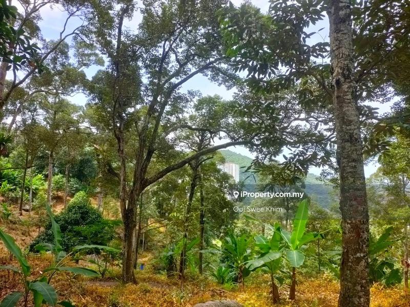 Tanah Pertanian untuk Dijual di Teluk Kumbar, Penang oleh Ooi Swee Khim - iProperty.com.my