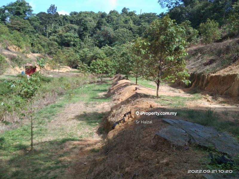 Agricultural Land for Sale in Tampin, Negeri Sembilan by Sr Haizal - iProperty.com.my