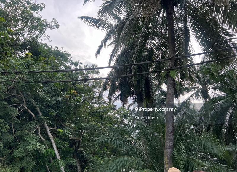 Tanah Pertanian untuk Dijual di Pekan Ijok, Ijok oleh Simon Khoo - iProperty.com.my