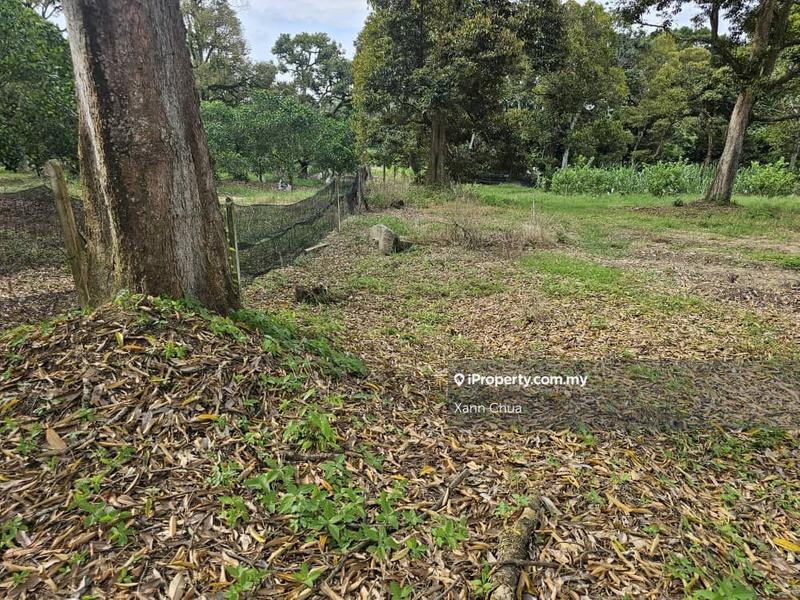 Agricultural Land for Sale in Taman Bemban Baru, Bemban by Xann Chua - iProperty.com.my