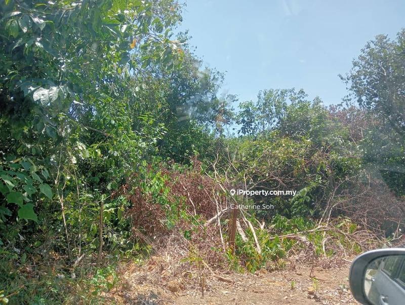 Agricultural Land for Sale in Near UTM Melaka, Durian Tunggal by Catherine Soh - iProperty.com.my