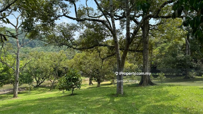 Agricultural Land for Sale in Bukit Tinggi, Bentong by Damon Wong - iProperty.com.my