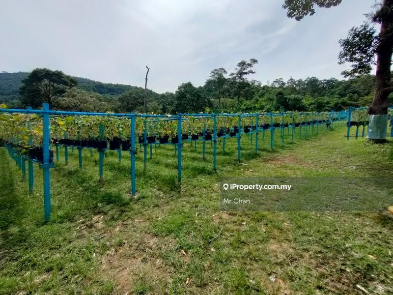 Tanah Pertanian untuk Dijual di Hulu Semenyih, Semenyih oleh Mr Chan - iProperty.com.my
