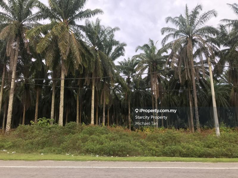 Tanah Pertanian untuk Dijual di Kampong Medan, Selama oleh Michael Tan - iProperty.com.my