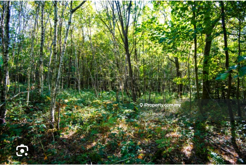 Agricultural Land for Sale in Sepang Selangor, Sepang by Sean Liew - iProperty.com.my