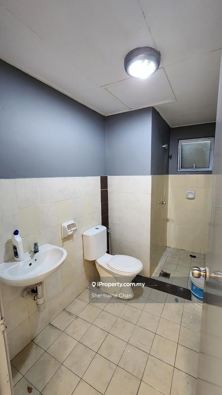 For Sale - Koi Kinrara