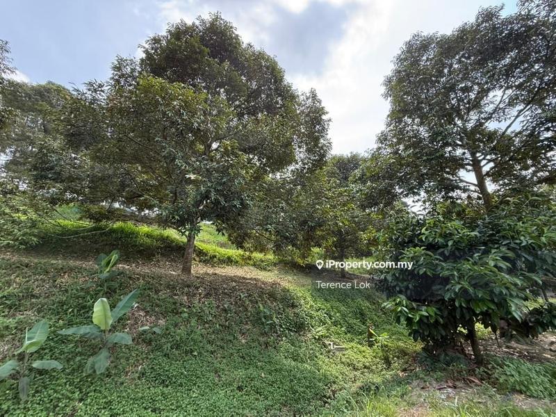 Tanah Pertanian untuk Dijual di Hosapa, Titi oleh Terence Lok - iProperty.com.my