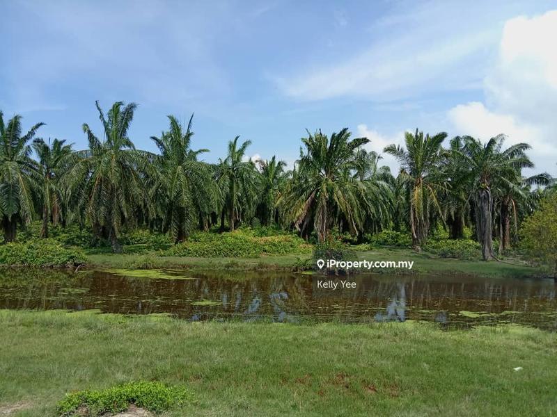 Tanah Pertanian untuk Dijual di Nibong Tebal, Penang oleh Kelly Yee - iProperty.com.my