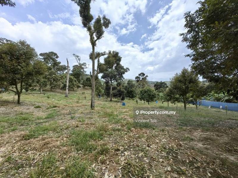 Tanah Pertanian untuk Dijual di Cheroh, Raub oleh Vincent Tee - iProperty.com.my