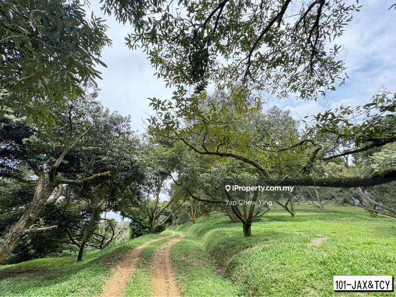 Tanah Pertanian untuk Dijual di Bandar Tras, Raub oleh Yap Chew Ying - iProperty.com.my